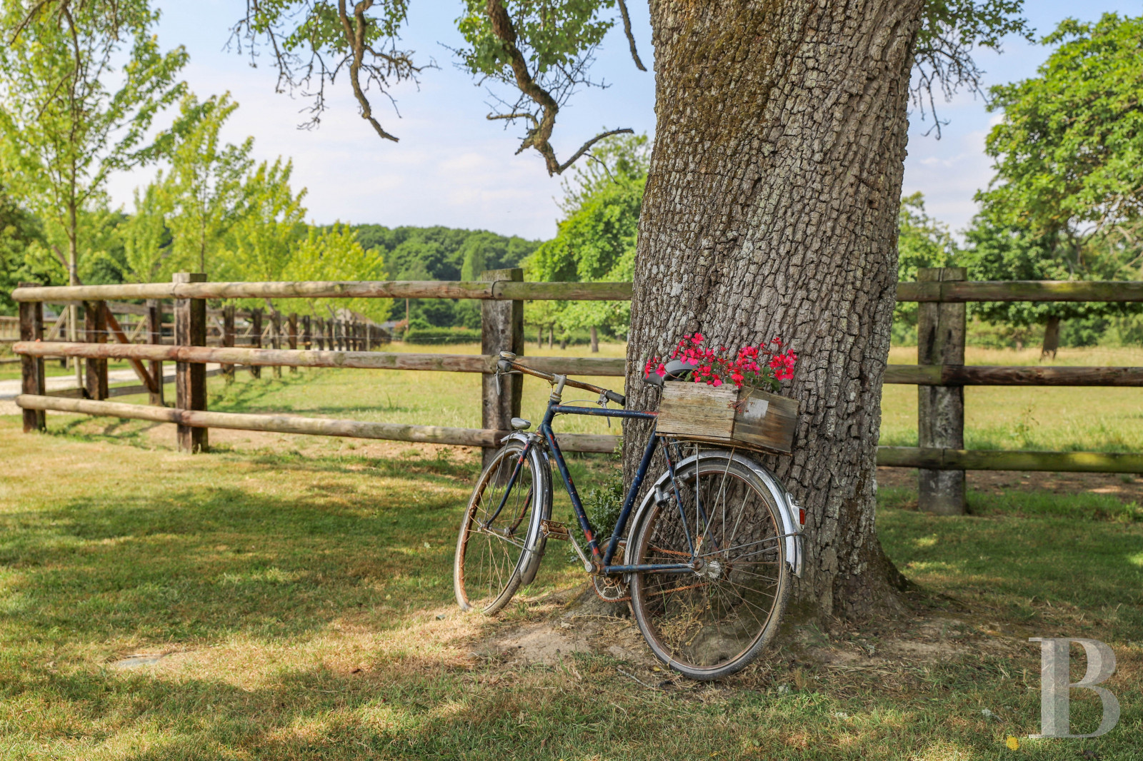 A former 18th century farmhouse with carefully renovated outbuildings on the edge of a forest in Perche - photo  n°2
